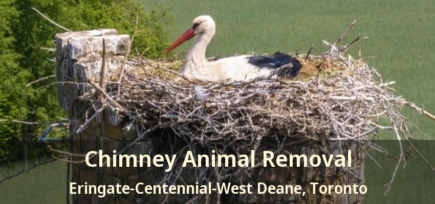 Chimney Animal Removal Eringate-Centennial-West Deane, Toronto - ON