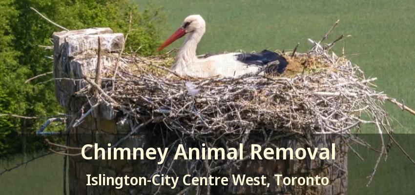 Chimney Animal Removal Islington-City Centre West, Toronto - ON