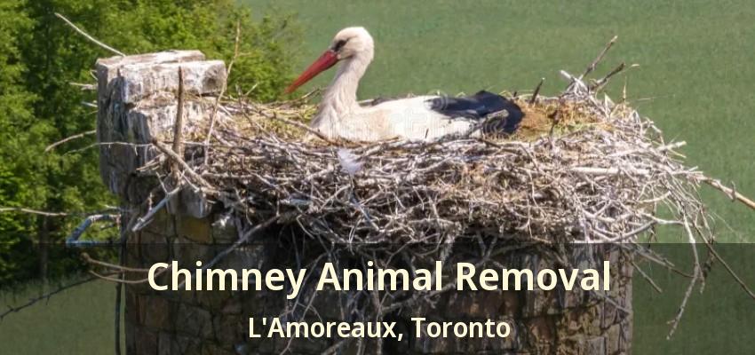 Chimney Animal Removal L'Amoreaux, Toronto - ON
