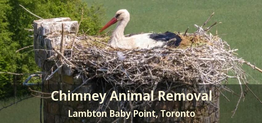 Chimney Animal Removal Lambton Baby Point, Toronto - ON