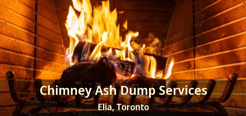 Chimney Ash Dump Services Elia, Toronto - ON