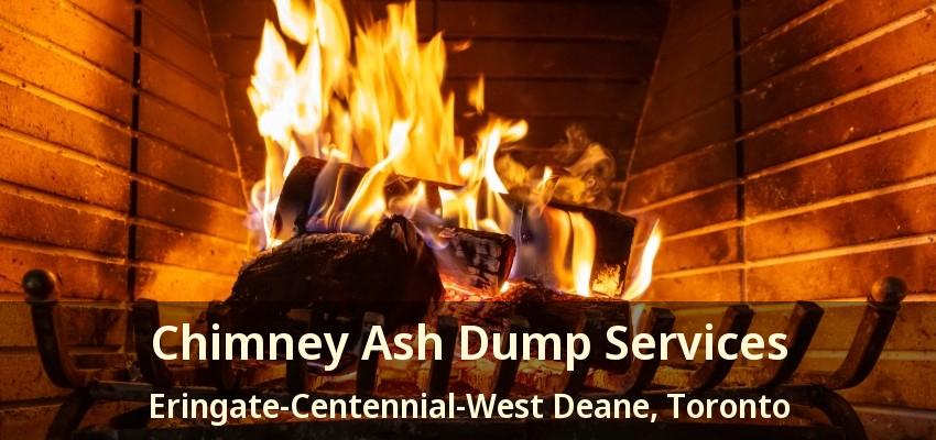 Chimney Ash Dump Services Eringate-Centennial-West Deane, Toronto - ON