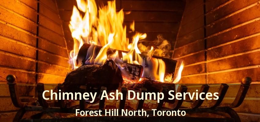 Chimney Ash Dump Services Forest Hill North, Toronto - ON
