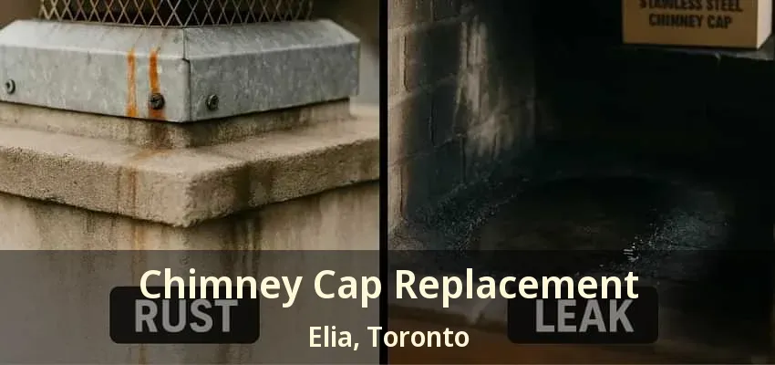 Chimney Cap Replacement Elia, Toronto - ON