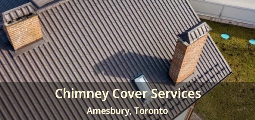 Chimney Cover Services Amesbury, Toronto - ON