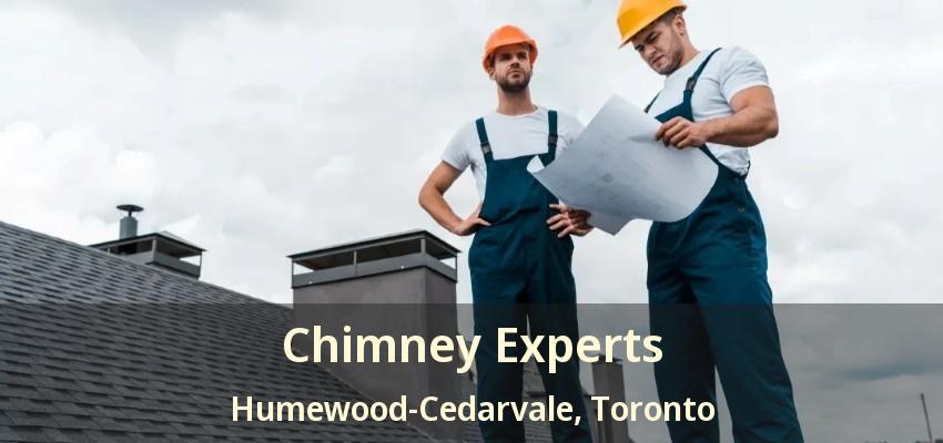Chimney Experts Humewood-Cedarvale, Toronto - ON