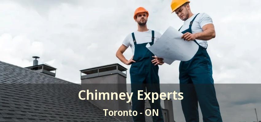 Chimney Experts Toronto - ON