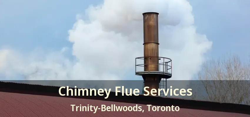 Chimney Flue Services Trinity-Bellwoods, Toronto - ON