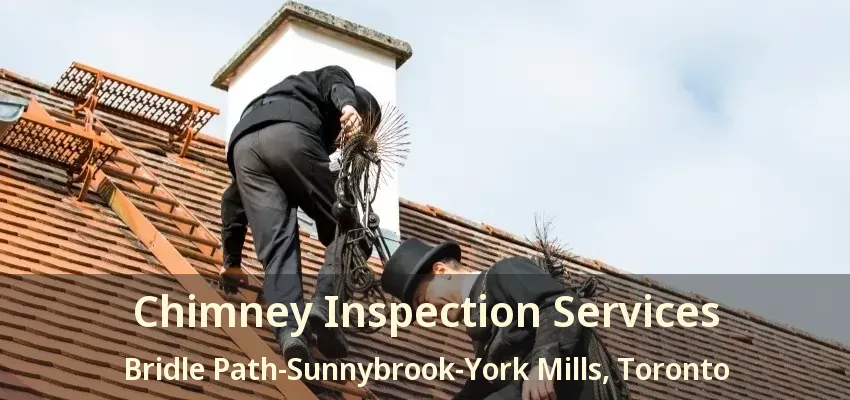 Chimney Inspection Services Bridle Path-Sunnybrook-York Mills, Toronto - ON