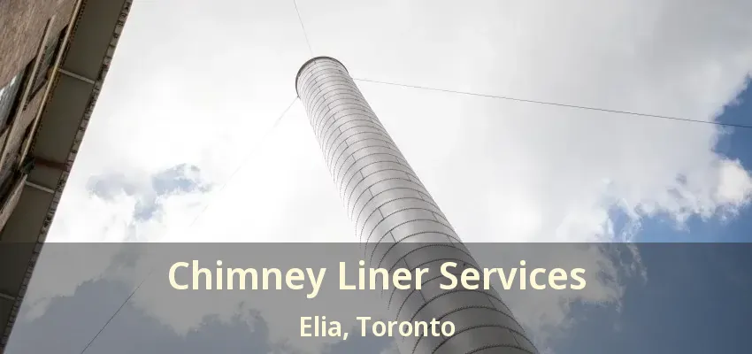 Chimney Liner Services Elia, Toronto - ON