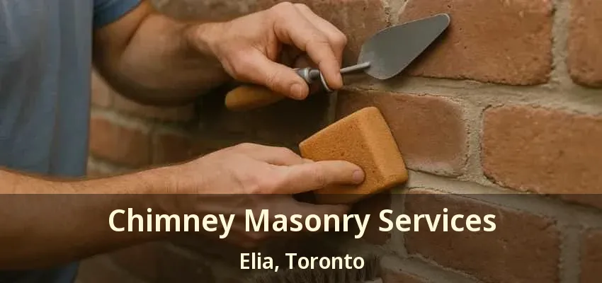 Chimney Masonry Services Elia, Toronto - ON