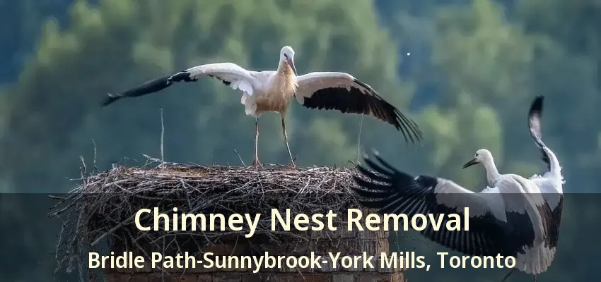 Chimney Nest Removal Bridle Path-Sunnybrook-York Mills, Toronto - ON