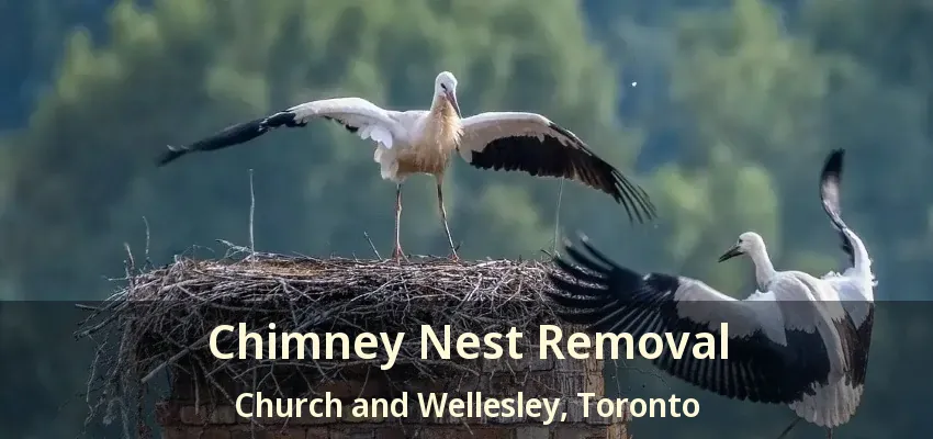 Chimney Nest Removal Church and Wellesley, Toronto - ON