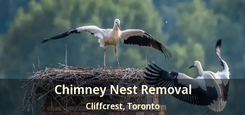 Chimney Nest Removal Cliffcrest, Toronto - ON