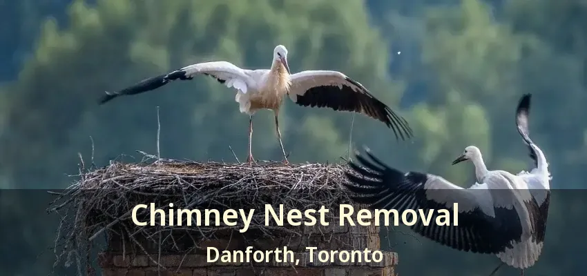 Chimney Nest Removal Danforth, Toronto - ON