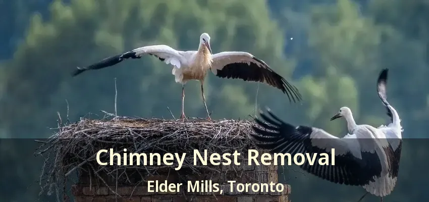 Chimney Nest Removal Elder Mills, Toronto - ON
