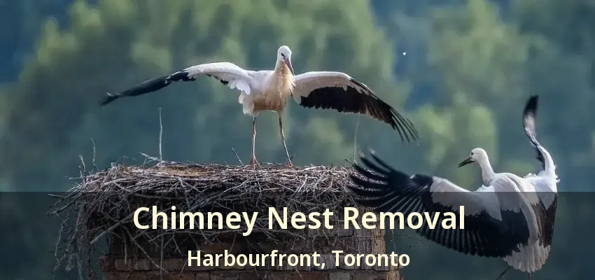 Chimney Nest Removal Harbourfront, Toronto - ON