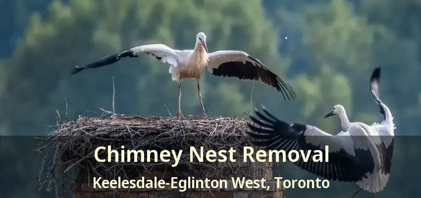 Chimney Nest Removal Keelesdale-Eglinton West, Toronto - ON