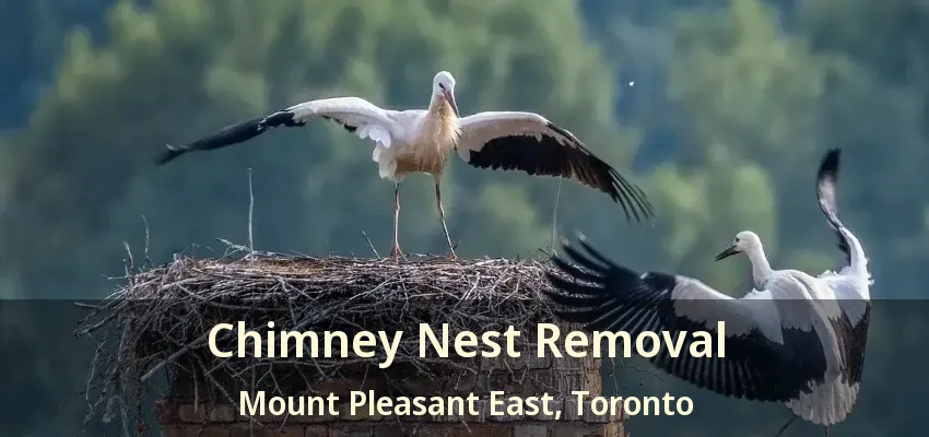 Chimney Nest Removal Mount Pleasant East, Toronto - ON