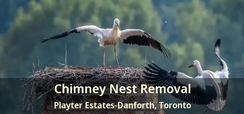 Chimney Nest Removal Playter Estates-Danforth, Toronto - ON