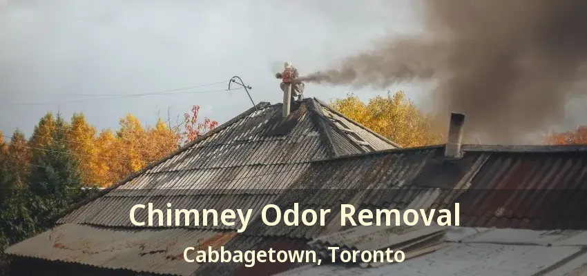 Chimney Odor Removal Cabbagetown, Toronto - ON