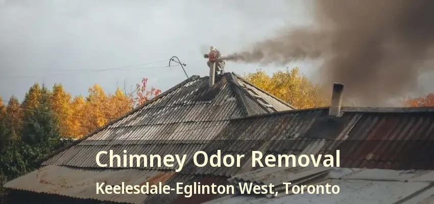 Chimney Odor Removal Keelesdale-Eglinton West, Toronto - ON