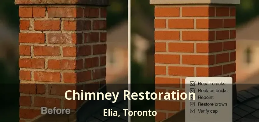 Chimney Restoration Elia, Toronto - ON
