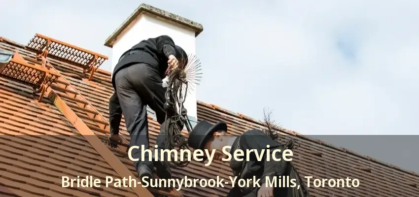 Chimney Service Bridle Path-Sunnybrook-York Mills, Toronto - ON