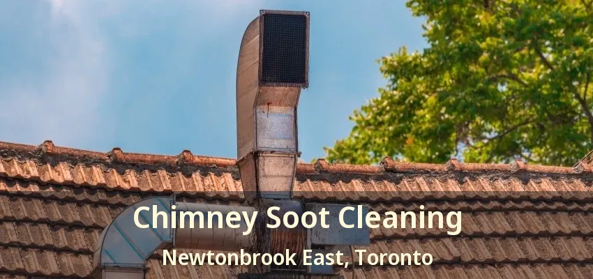 Chimney Soot Cleaning Newtonbrook East, Toronto - ON
