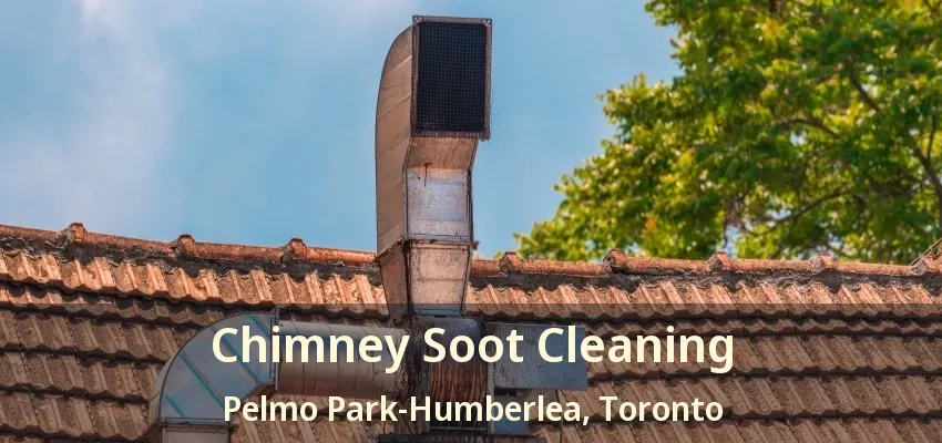 Chimney Soot Cleaning Pelmo Park-Humberlea, Toronto - ON