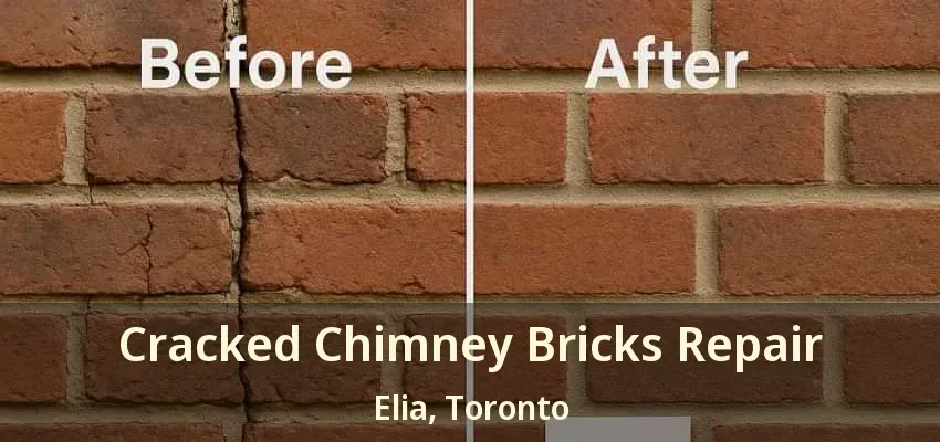Cracked Chimney Bricks Repair Elia, Toronto - ON