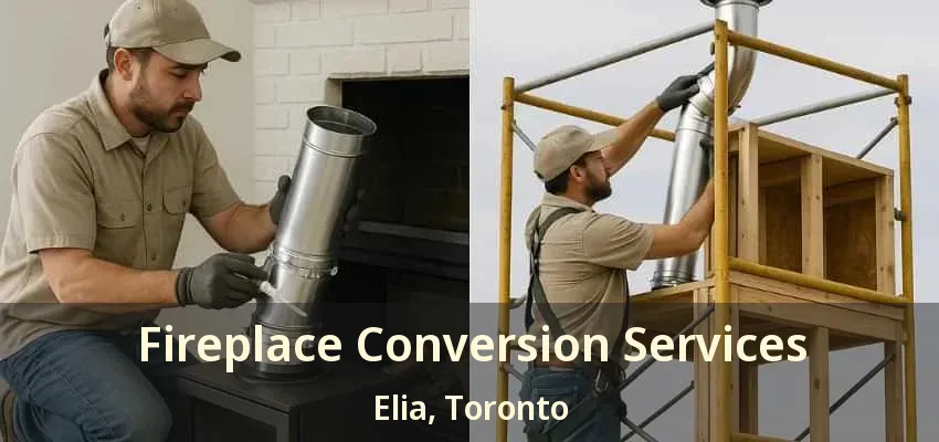 Fireplace Conversion Services Elia, Toronto - ON