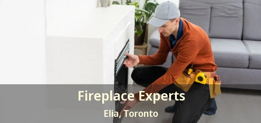 Fireplace Experts Elia, Toronto - ON
