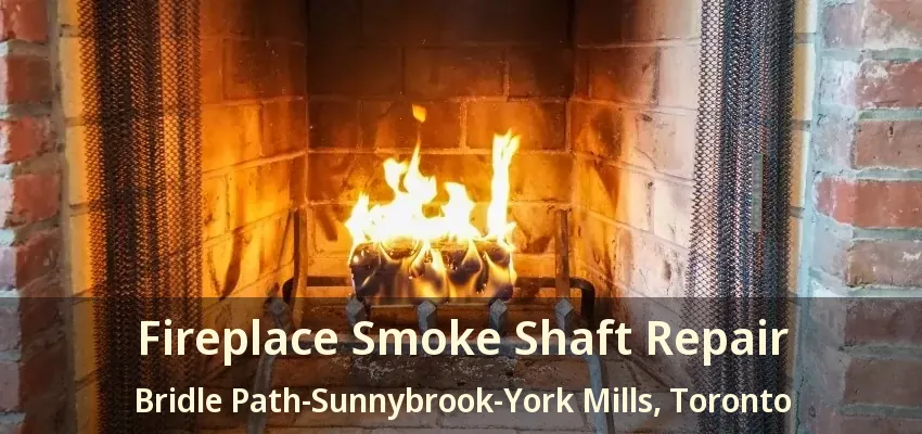 Fireplace Smoke Shaft Repair Bridle Path-Sunnybrook-York Mills, Toronto - ON