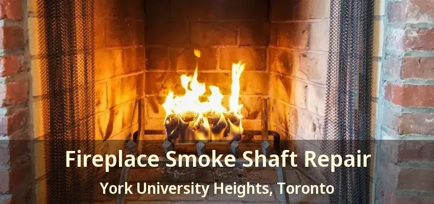 Fireplace Smoke Shaft Repair York University Heights, Toronto - ON