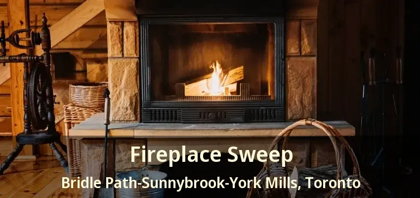 Fireplace Sweep Bridle Path-Sunnybrook-York Mills, Toronto - ON