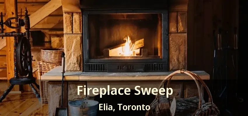 Fireplace Sweep Elia, Toronto - ON