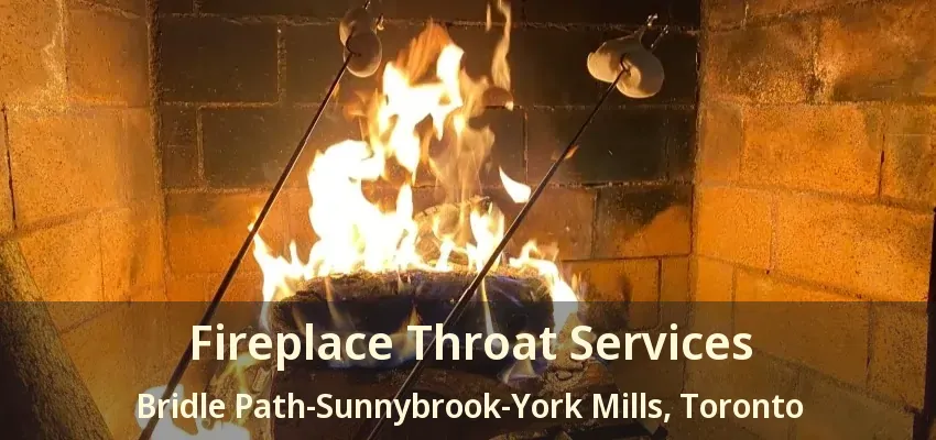 Fireplace Throat Services Bridle Path-Sunnybrook-York Mills, Toronto - ON