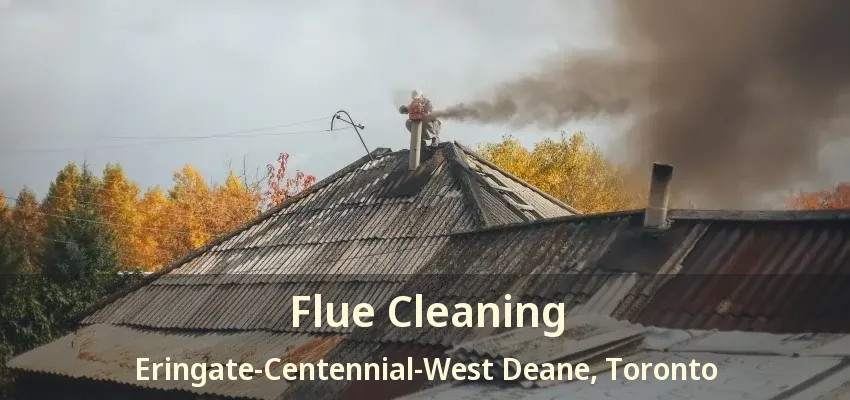 Flue Cleaning Eringate-Centennial-West Deane, Toronto - ON
