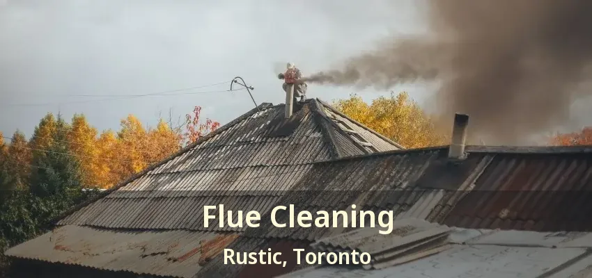 Flue Cleaning Rustic, Toronto - ON