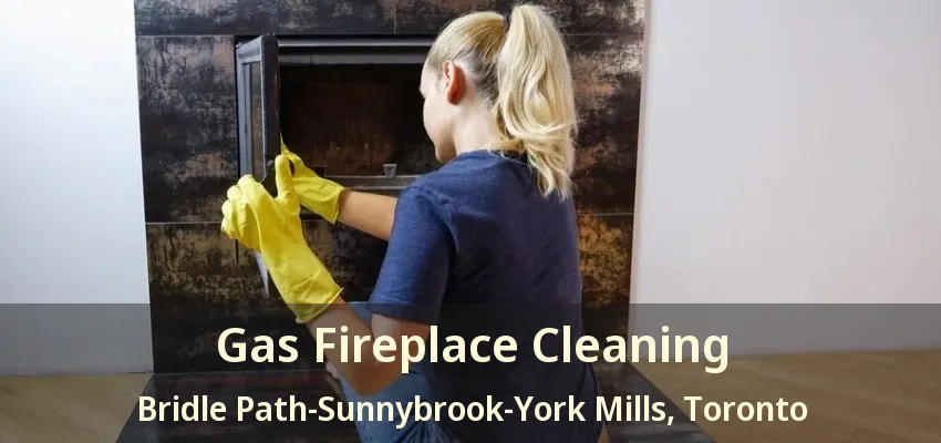 Gas Fireplace Cleaning Bridle Path-Sunnybrook-York Mills, Toronto - ON