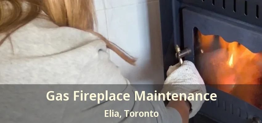 Gas Fireplace Maintenance Elia, Toronto - ON