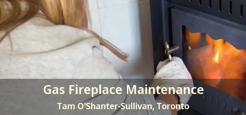 Gas Fireplace Maintenance Tam O'Shanter-Sullivan, Toronto - ON