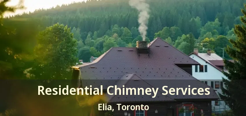 Residential Chimney Services Elia, Toronto - ON