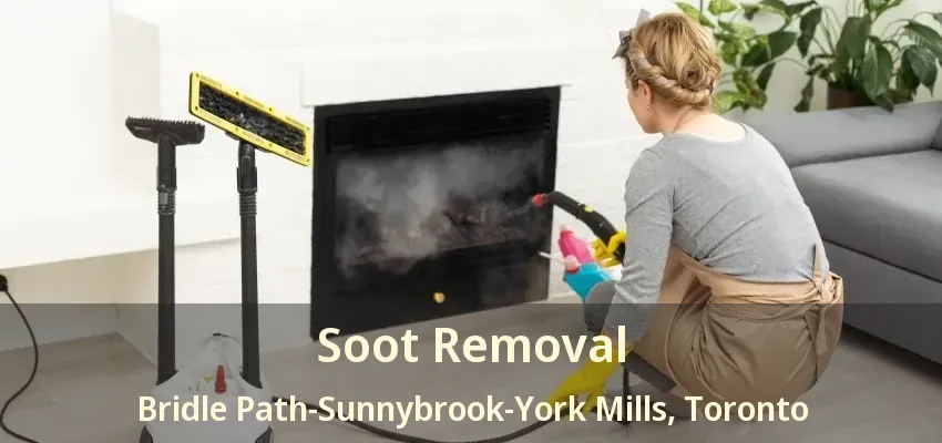 Soot Removal Bridle Path-Sunnybrook-York Mills, Toronto - ON