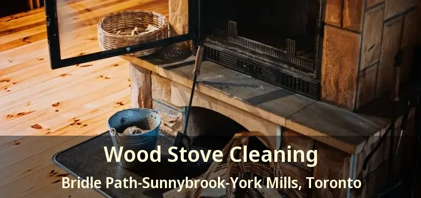 Wood Stove Cleaning Bridle Path-Sunnybrook-York Mills, Toronto - ON