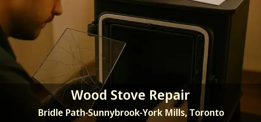 Wood Stove Repair Bridle Path-Sunnybrook-York Mills, Toronto - ON