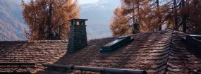 Chimney Animal Removal Keelesdale-Eglinton West, Toronto